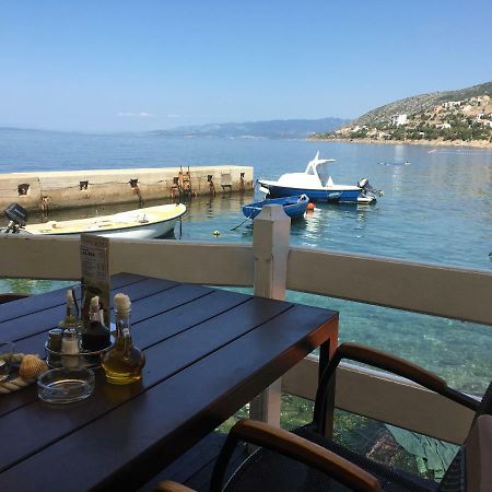 Apartman Mimoz Senj  Exterior foto